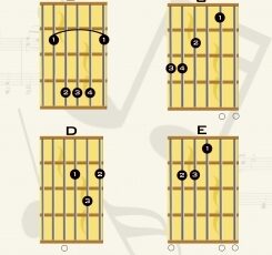 Guitar Music Theory