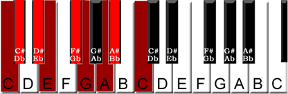 poly-scale-c-kb