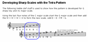 scale-study-tetra-block